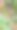 欧洲旋转树叶子和果实的特写竖拍照片图片下载