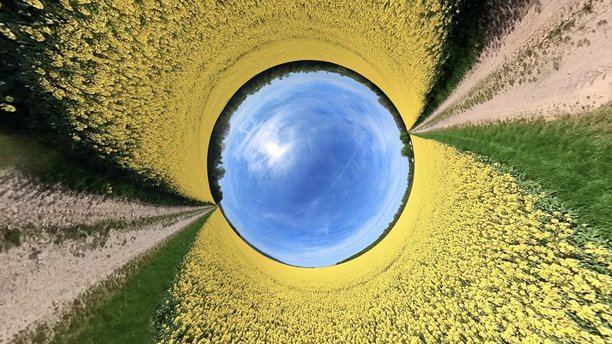 宽角度照片的油菜花田图片下载