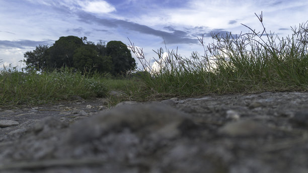 从地面向上拍摄的照片，展示了中间农田的街道，背景是广阔的绿色草地、树木和白蓝色的天空。图片下载