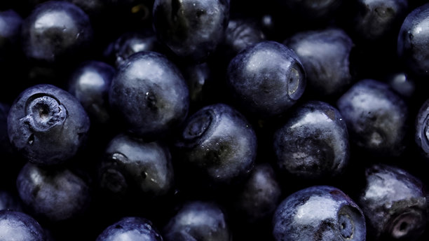 新鲜蓝莓的特写照片。蓝莓是一种营养丰富、美味的食物。健康有机饮食的概念。花青素赋予蓝莓蓝色和健康益处。图片下载