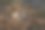 在旅行时于纳尔萨罗瓦拍摄的美丽可爱的紫水鸡鸟蛋照片图片下载