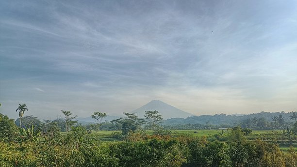 这张照片捕捉了一个广阔的乡村景观，背景中有一座山。由于晨雾轻盈，山显得有些模糊。在前景中，郁郁葱葱的稻田和热带树木营造出宁静的乡村氛围。图片下载