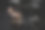 自信女性在健身房进行深蹲训练，手举重杠的特写照片图片下载