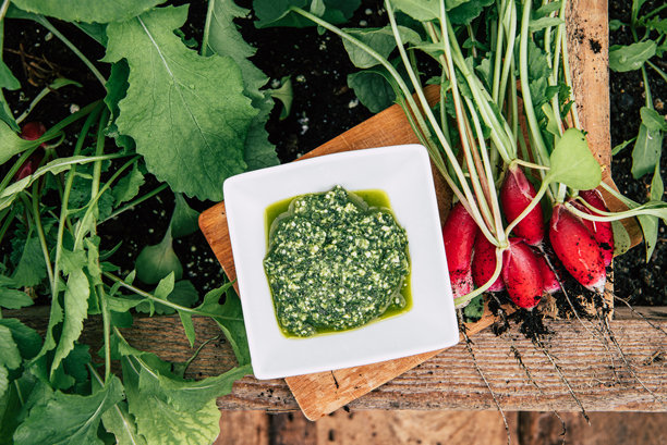 自制的萝卜叶香蒜酱放在白色碗中。家园中采摘的一束萝卜，学名为Raphanus sativus。乡村风格的照片。俯视图。图片下载