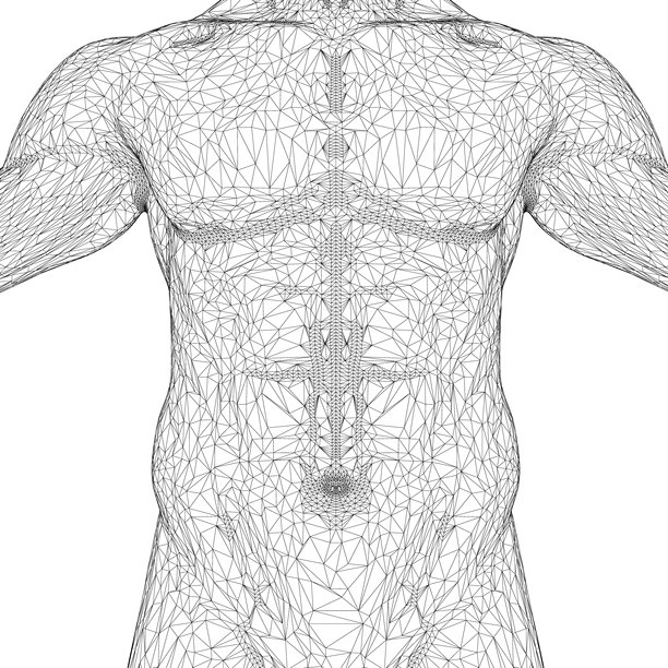 一幅黑白照片展示了一名男子的躯干，细节丰富。该图像表现了一名男子的身体，躯干是主要焦点。这幅插图风格化。图片下载