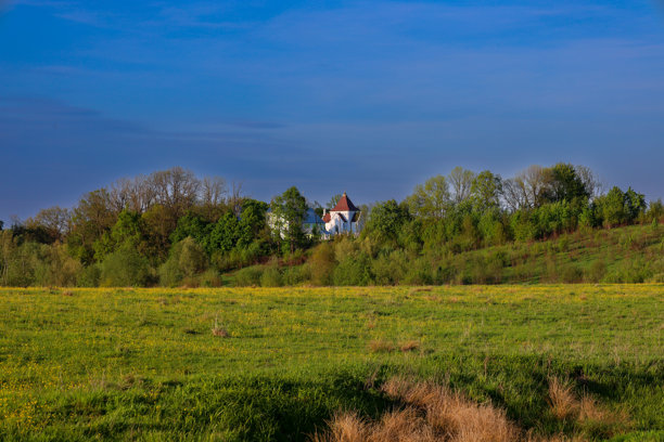 这张照片展示了一个风景，前景是绿色的田野，接着是一座有树木的山丘和一栋红屋顶的白色建筑。画面的上方是蓝天。图片下载