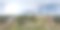 用无人机拍摄的波尔图杜罗河上的情感花园360度航拍照片图片下载