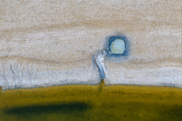 地球上的色彩与森林种子\n抽象摄影，广告牌背景。干旱和全球气候主题的照片。色彩的神奇美丽。土壤的图案和色彩。图片下载