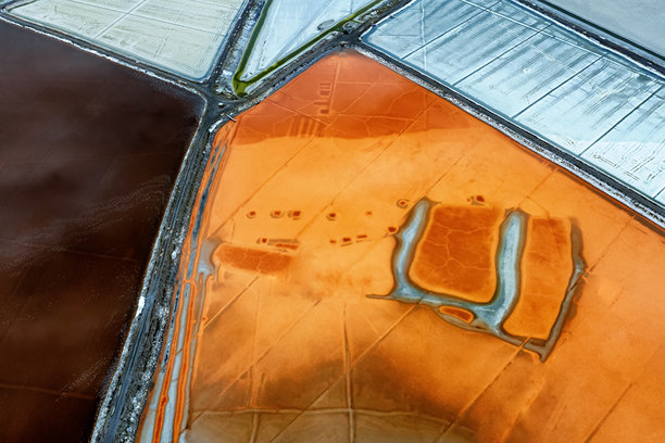 地球上的色彩与森林种子\n抽象摄影，广告牌背景。干旱和全球气候主题的照片。色彩的神奇美丽。土壤的图案和色彩。图片下载