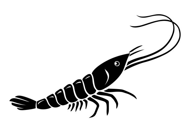 新鲜虾图标。手绘虾的矢量插图。野生对虾，海鲜。适用于印刷、面料、图案、符号、标志。图片下载