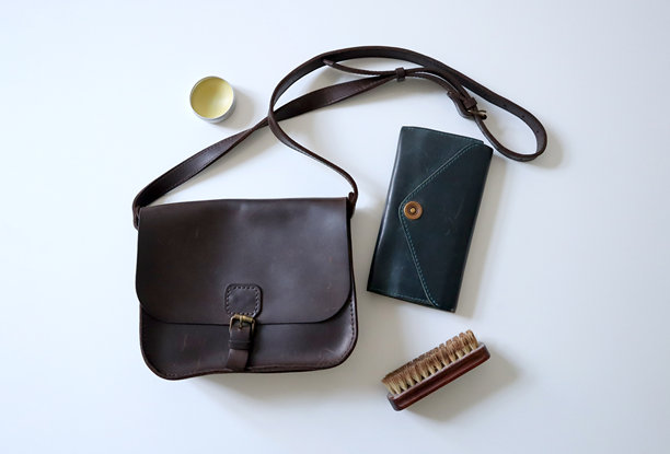 女性肩包、手提包或手袋，采用疯马皮制作。白色背景。照片。图片下载