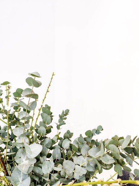 风格化的自然花束库存图片，平铺，俯视。白色背景。图片下载