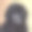 可爱的玩具贵宾犬小狗的摄影棚照片图片下载