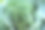 从生长中的卷心菜顶部视角拍摄的背景。适用于出版、海报、日历、帖子、屏保、壁纸、封面和网站的绿色卷心菜头。高质量照片。图片下载
