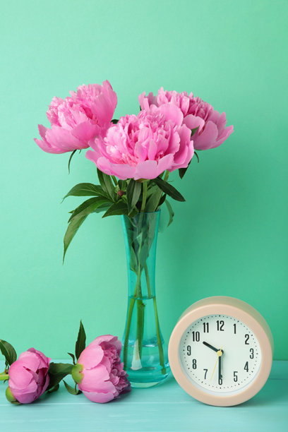 浪漫背景，薄荷色背景上有闹钟和粉色牡丹。竖版照片图片下载