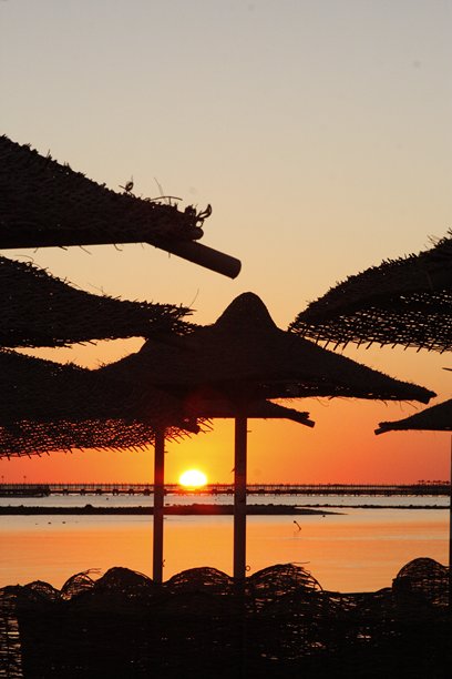 美丽的海滩日出。竖版照片。海滩上有棕榈树做的伞。图片下载