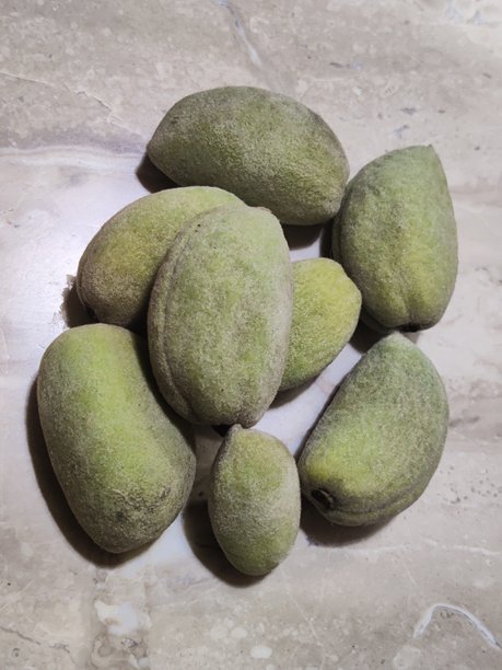 绿色杏仁 - 高清库存照片图片下载