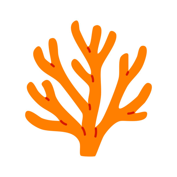 细致的橙色珊瑚扇形枝条，带有小尖端图片下载