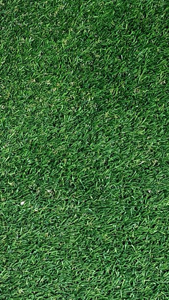 绿色草地纹理背景图片图片下载