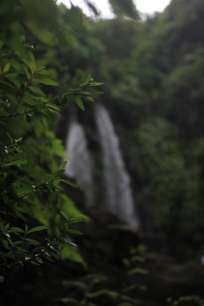 森林中的瀑布风景照片图片下载