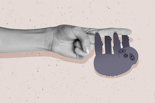 手指指向野生热带动物树懒的拼贴照片，休闲可爱的哺乳动物，孤立在涂鸦背景上。图片下载