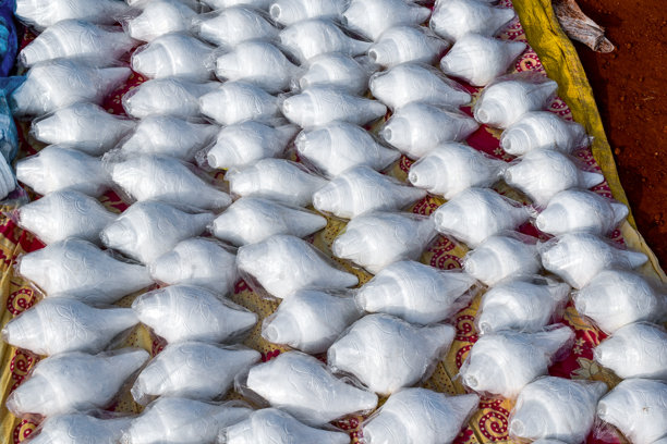 这张图片展示了精美排列的白色海螺壳，整齐地包裹在塑料中。图片下载