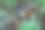 一棵倒下的树木上覆盖着鲜艳的黄色真菌，躺在森林地面和年轻的绿植之间。这张照片反映了自然的分解过程，旧的给予新的生命。图片下载