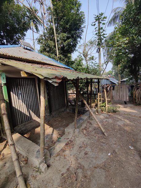 村庄文化照片，背景是小破房子和自然树木。图片下载