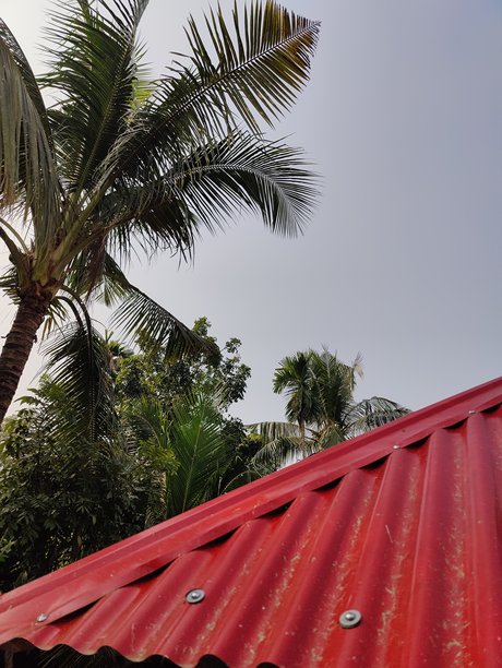 村庄文化照片，背景是小破房子和自然树木。图片下载