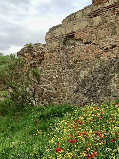 古老城堡遗址在草地和野花中竖立的照片图片下载
