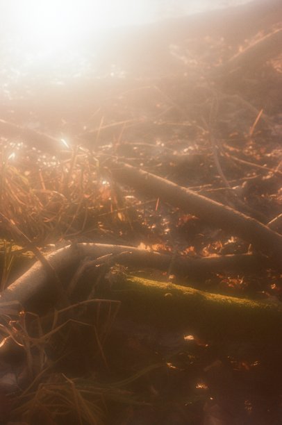 模糊的电影照片，河边的草在明亮的傍晚阳光下照亮图片下载