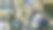 昆士兰州凯恩斯的三位一体海滩 – 海岸环形交叉口、热带树木、住宅区、道路网络和北昆士兰郁郁葱葱的郊区风景的航拍照片图片下载