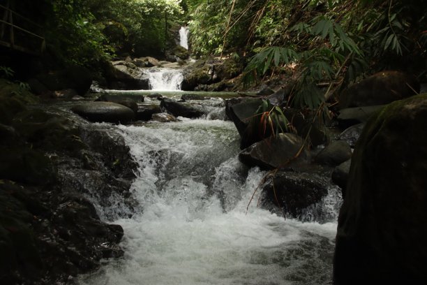 美丽的乌维塔瀑布照片，展示了三条瀑布的下游瀑布，周围环绕着深绿色的丛林树木和热带植物。中美洲的自然与公园。乌维塔，哥斯达黎加的缓慢水流。宁静与自然旅游。图片下载