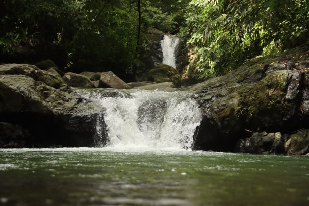 美丽的乌维塔瀑布下游照片，四周环绕着深绿色的丛林树木和热带植物。中美洲的自然与公园。乌维塔，哥斯达黎加的缓慢稳定水流。宁静与自然旅游。清晨徒步旅行。图片下载