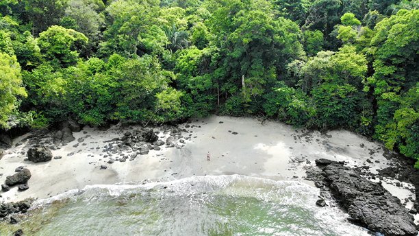 令人印象深刻的从上往下拍摄的无人机航拍照片，展示了哥斯达黎加曼努埃尔安东尼奥国家公园内一处偏远海滩。空旷的对称帽子，周围环绕着小热带岛屿和深绿色的丛林环境。中美洲自然风光。图片下载