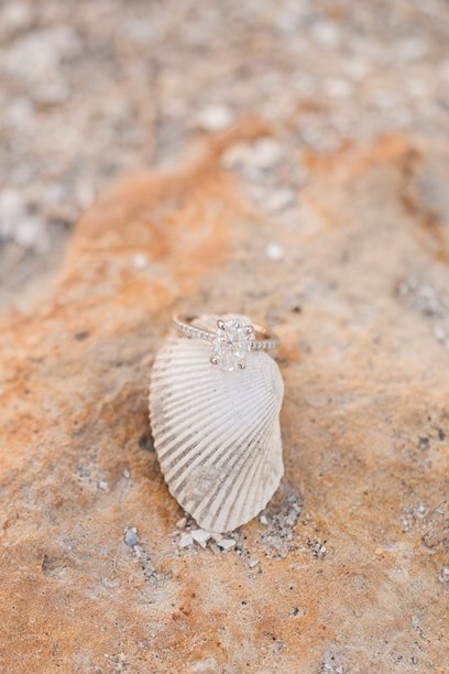 宏观照片：一枚椭圆形钻石白金订婚戒指放在海螺上，背景为佛罗里达州木星的岩石景观。图片下载