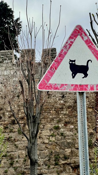 一张垂直照片，展示了一个风化的三角形街道标志，上面有黑猫的轮廓和大大的白色眼睛，靠近石头堡垒墙。图片下载