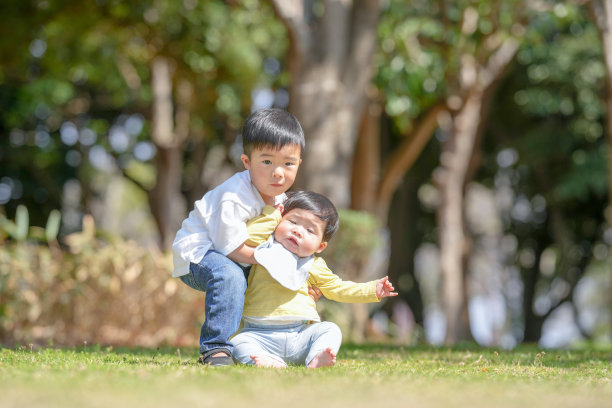 在日本的一个阳光明媚的森林公园里，一个3岁的日本男孩正在和他6个月大的弟弟玩耍。这张照片展示了春天柔和的光线下，兄弟之间宁静而温馨的时刻。图片下载