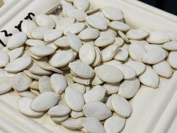 白色盒子里的南瓜子，特写照片图片下载