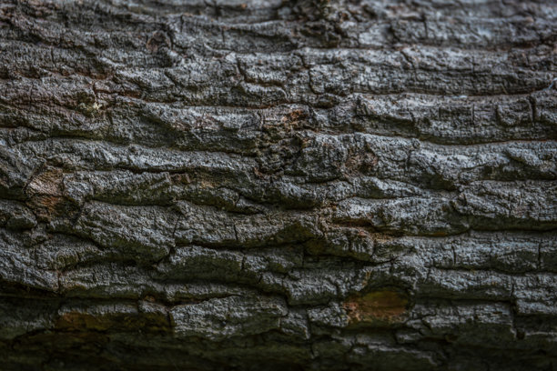 酷炫的木纹背景素材图片下载