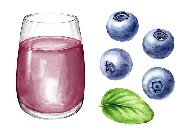 野生森林蓝莓汁和新鲜红莓的玻璃杯组合。水彩手绘插图，背景为白色。图片下载