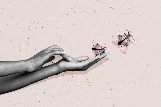 手部触碰不寻常的彩色蝴蝶状虫子，春季氛围的拼贴照片，背景为涂鸦风格。图片下载