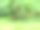 阳光照耀下的郁郁葱葱的香蕉叶，位于热带花园的风景照片中图片下载