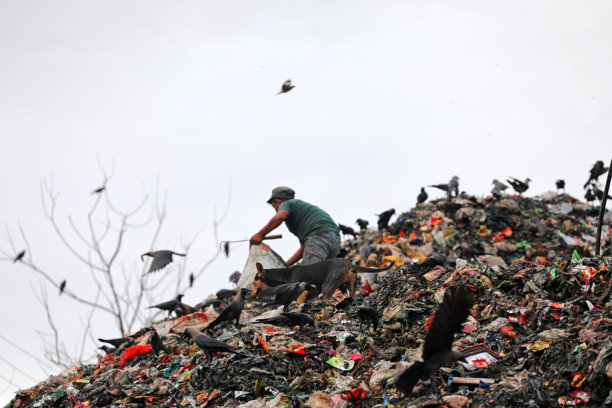人们在不卫生的条件下工作，并在垃圾堆放场捡拾垃圾。世界环境日照片。图片下载