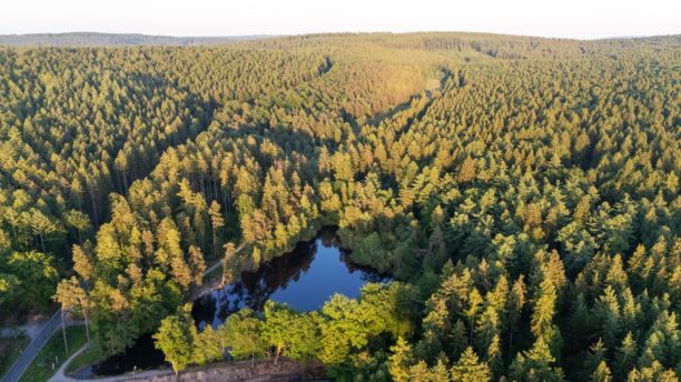 德国黑森州的Wiesbuettsee宽阔森林景观，航拍照片图片下载