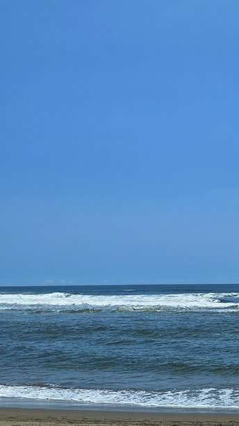 海滩肖像照片，背景是蓝天。图片下载