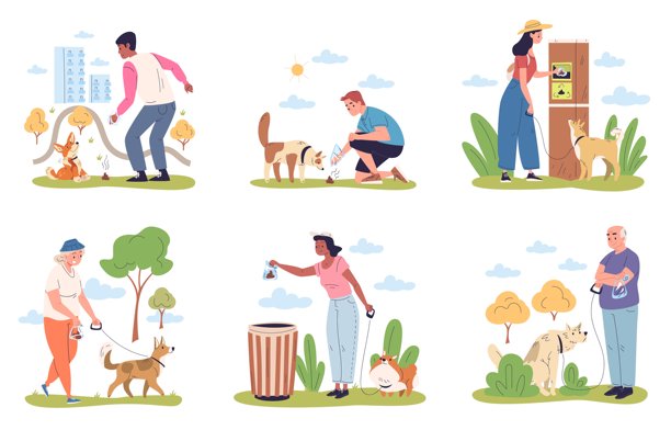 人们在清理狗粪。宠物主人用垃圾袋捡起小狗的粪便，狗在公园的草地上排泄，保持环境清洁，优雅的矢量插图。图片下载
