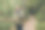 年轻男子在大自然中徒步旅行。旅行，冒险。积极生活方式的概念。阿德尔斯巴赫-特普利采国家公园的岩石。高质量照片。图片下载