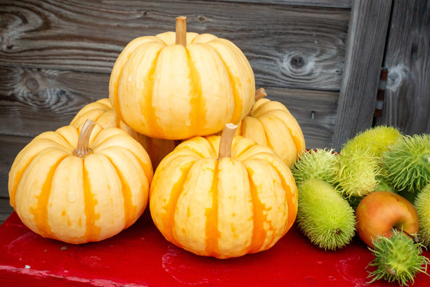 万圣节图片照片。活动图片。图片下载