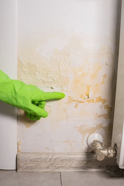 一位戴着手套的女性在展示被淹没的墙壁的竖版照片。墙壁在暖气散热器附近起皮。管道漏水问题。翻新概念。图片下载